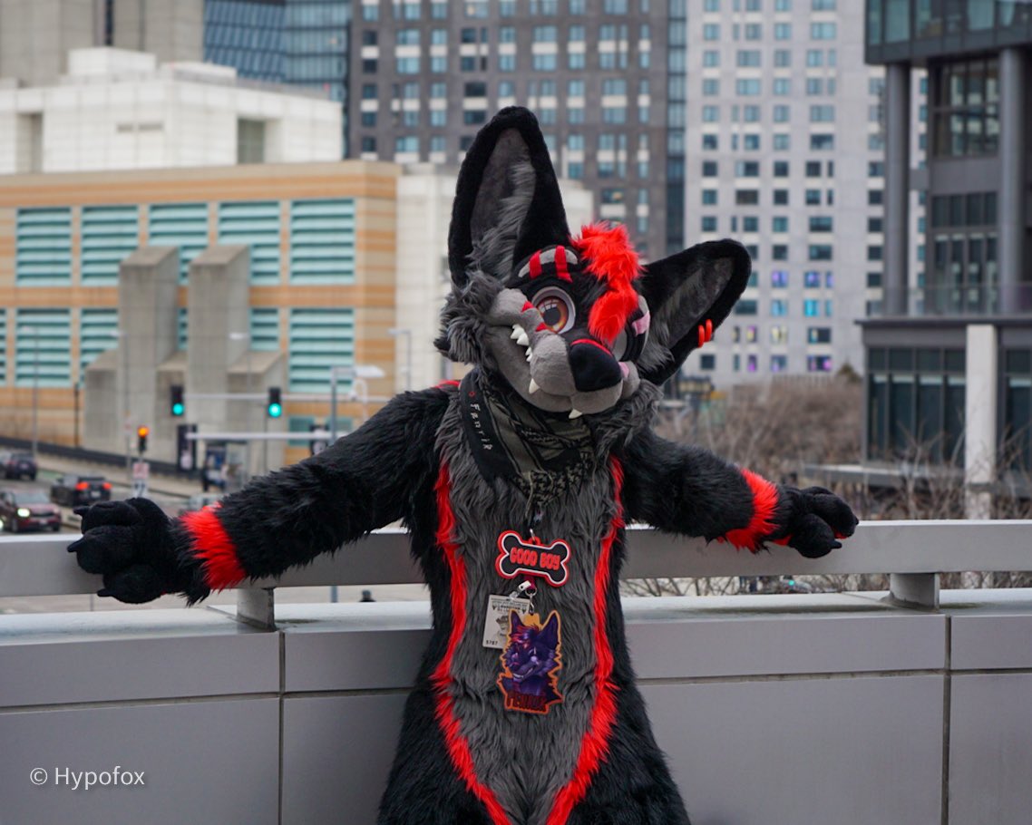 Fenrik the Wolfy ❤️🖤 tweet media