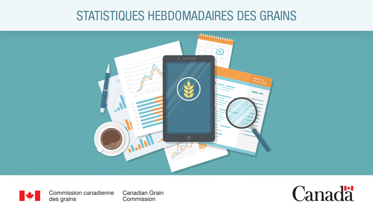 Consultez la publication Statistiques hebdomadaires des grains de la semaine 26, prenant fin le 1er février 2026. 
ow.ly/JMqn50Yaqa0