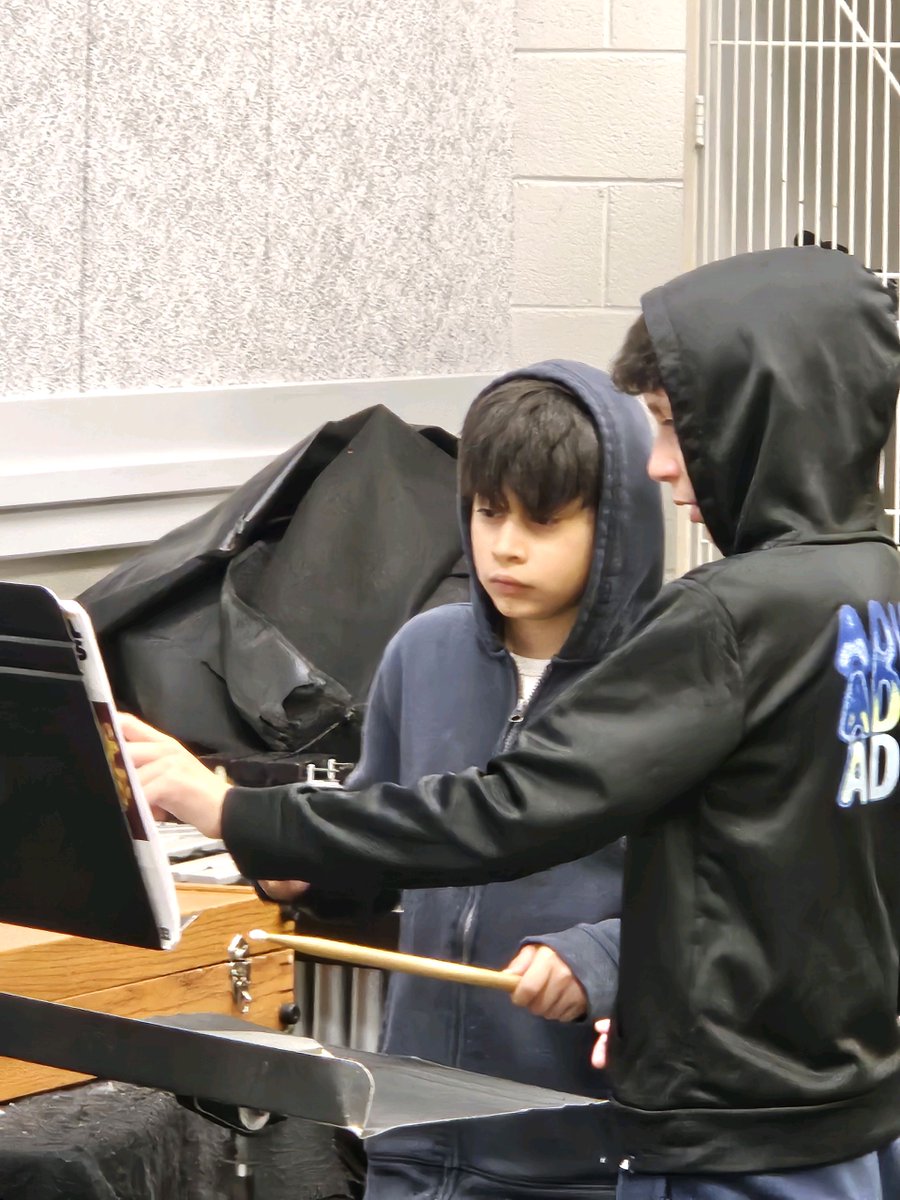 Poe MS Bands tweet media