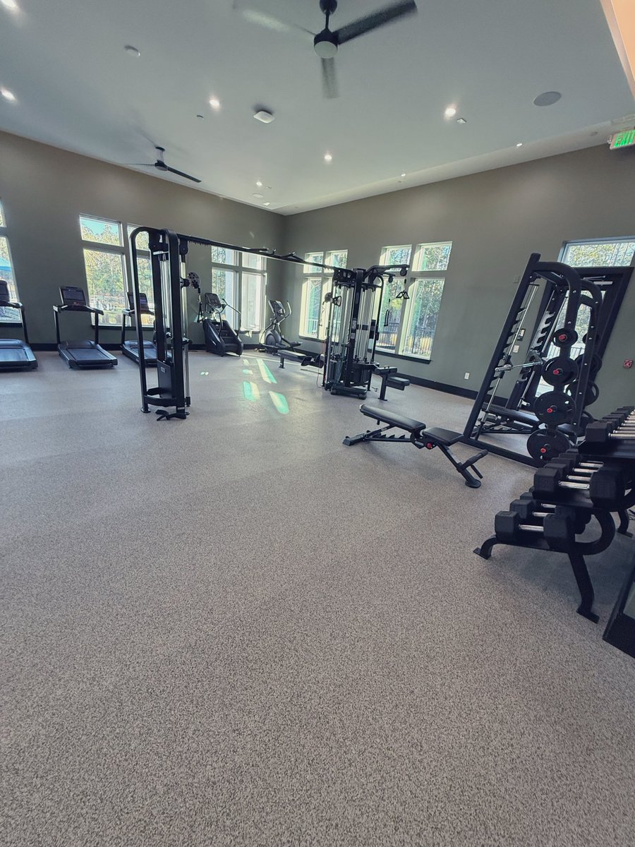 ChiBearsFan tweet media