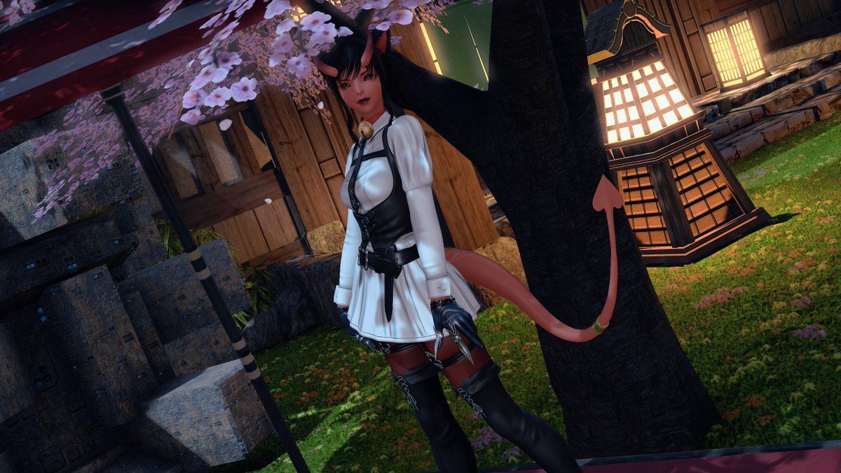 Meow Meow tweet media