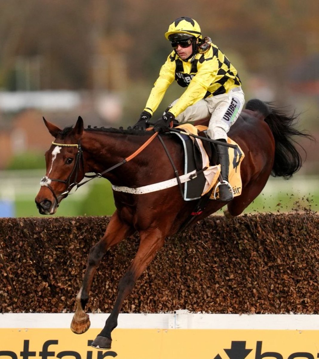 🎉 IF LULAMBA, HAITI COULEURS, &amp; LET IT RAIN ALL WIN AT NEWBURY RACES TOMORROW! 😍 🏆

I'll give £350 Cash to One of YOU Lucky People at 10pm! 💷 💷 💷

To Enter: 👇

1️⃣ RT This Tweet
2️⃣ Like This Tweet
3️⃣ Follow <a href="/racingblogger/">Stephen R Power</a>

THE BEST OF LUCK EVERYONE! 🏆

#CheltenhamFestival