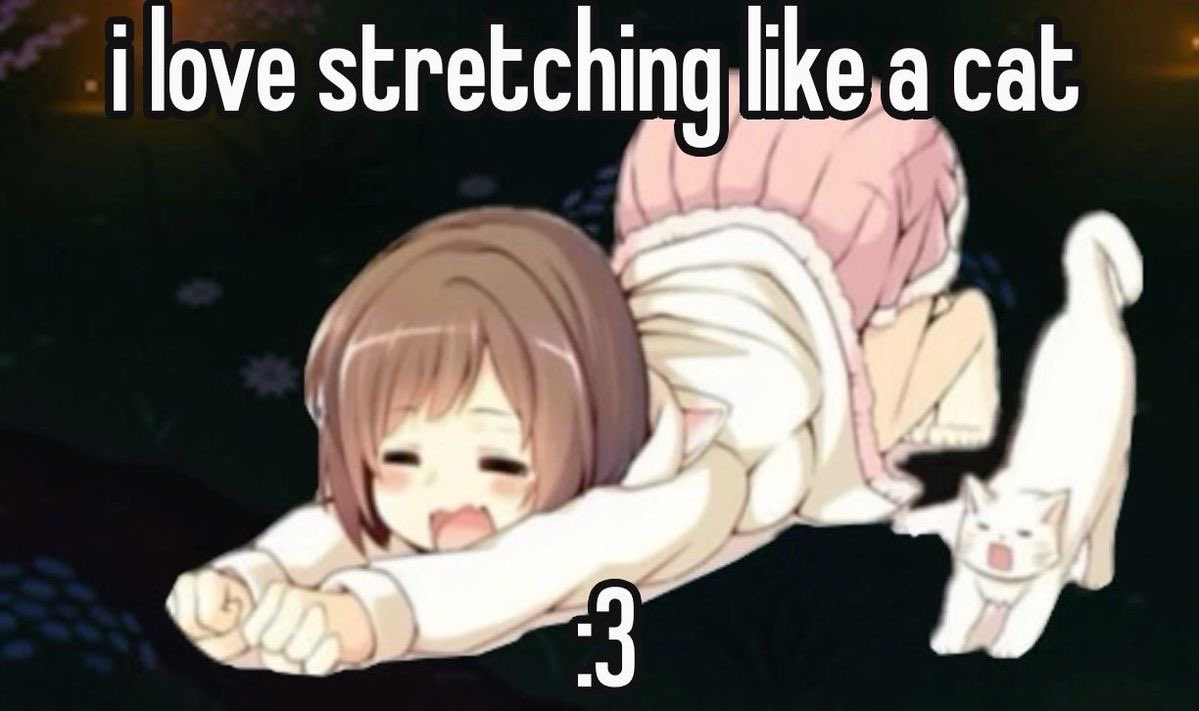 ♱ ✮₊˙♡♱ (@guttergore1) on Twitter photo 