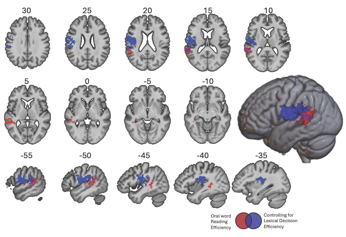 SfN Journals tweet media