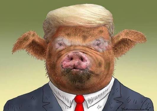 P65096Pop's tweet image. This is the staffer ...