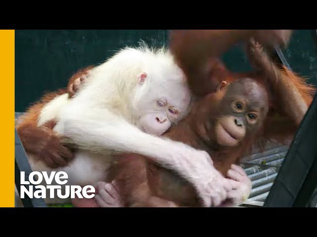 taeminluvr7's tweet image. this was my heated rivalry