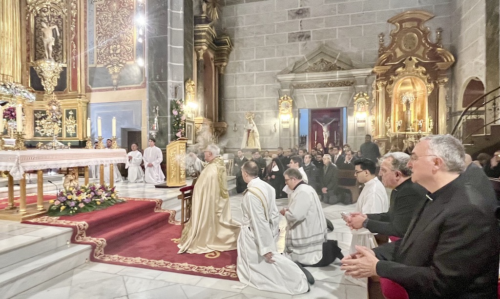 diocesisalmeria's tweet photo. Mons. Lorca Planes: “La fama de santidad de este buen párroco austero y enjuto no se ha olvidado nunca”
https://t.co/x4RRidctid https://t.co/eDqmiOGlJN