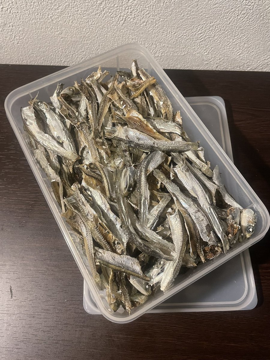 4時に起きて1時間いりこの内臓取ってた。スッキリ。