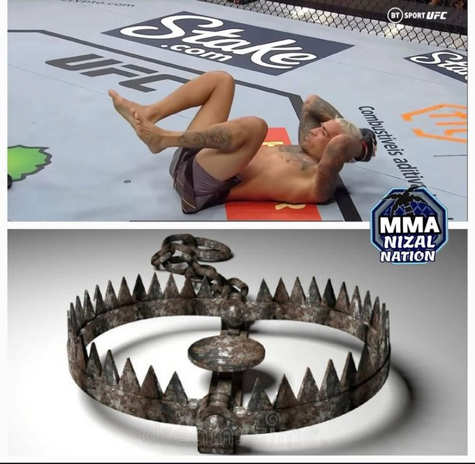 apenas tente holloway