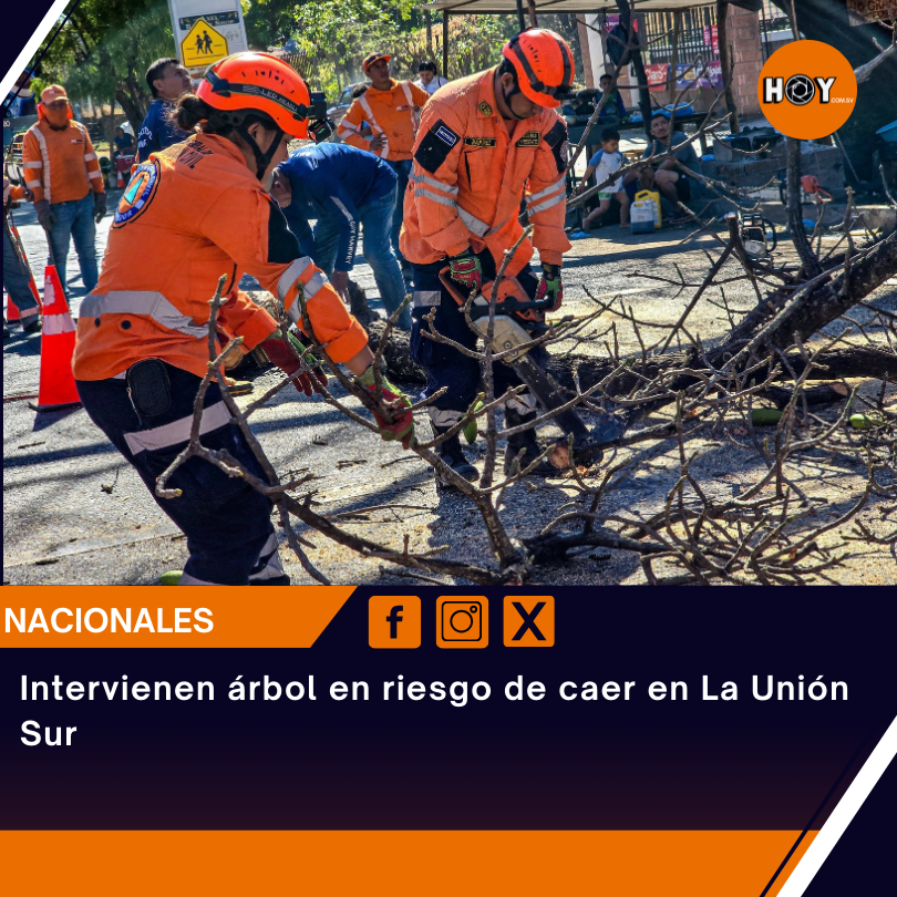 hoycomsv's tweet photo. 🇸🇻 #LaUniónSur | ⚠️🌳🚧 Equipo Táctico Operativo, en coordinación con @FOVIALITO , intervino un árbol que presentaba riesgo de caer en el redondel Los Mangos, cantón Sirama, La Unión Sur.
#Prevención #FOVIAL #ElSalvador #Tránsito ⚠️
📝KG https://t.co/tGpS5Xt9FW