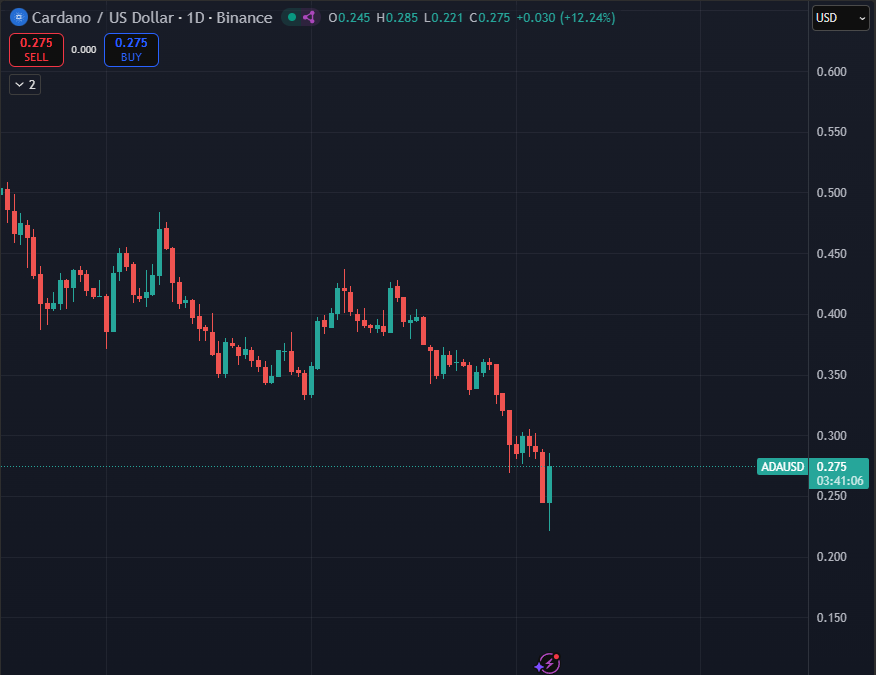 Sssebi🦁 tweet media