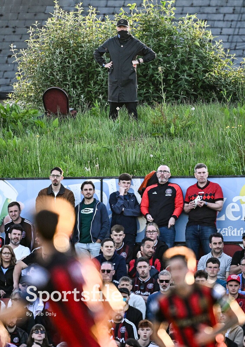 sportsfile tweet media