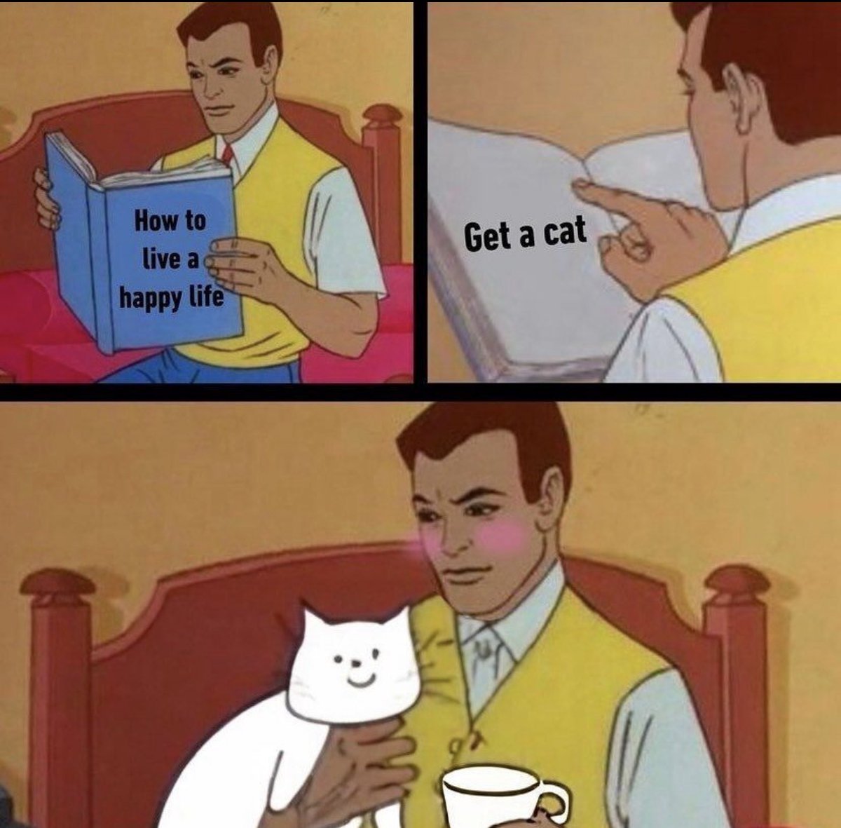 catshouldnt's tweet image. 