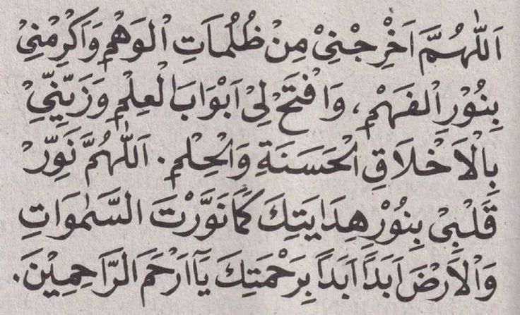 Erin🪼 (@alaofoq) on Twitter photo 