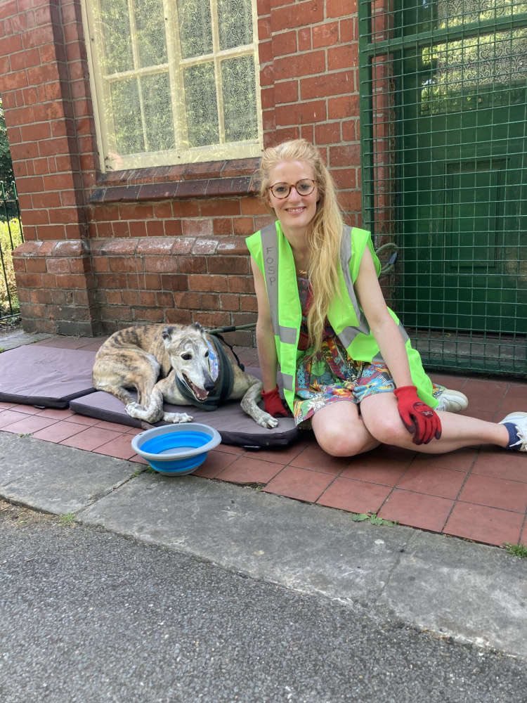 domdyer70's tweet image. We don’t need any more right wing millionaires in Parliament, but we could do with more female plumbers who rescue grey hounds. Come on voters in Gorton &amp;amp; Denton put Green candidate Hannah Spencer into Parliament @GreenPartyHan @ZackPolanski