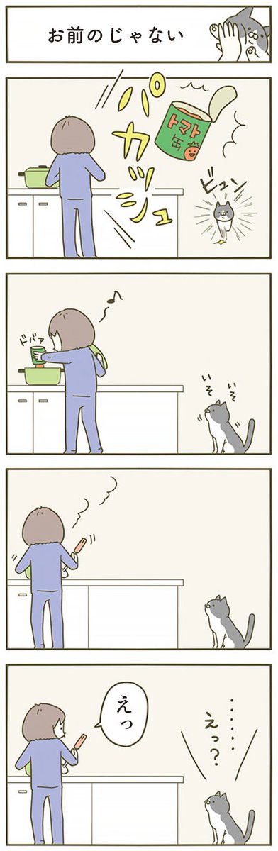 えっ🐱🥫 