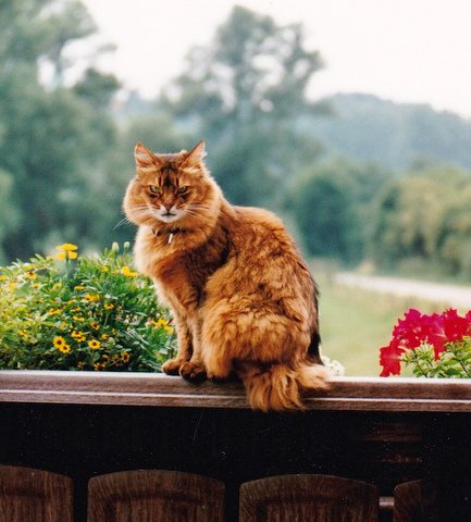 Erdkröte tweet media