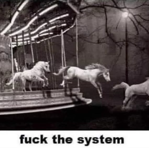 𝗚𝗘𝗡𝗘𝗥𝗔𝗧𝗜𝗢𝗡 𝗢𝗙 𝗦𝗖𝗔𝗥𝗦 (@rocknrollscars) on Twitter photo 