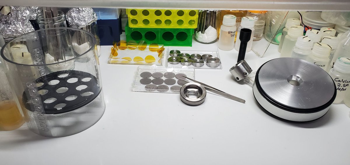 Sebastian S. Cocioba🪄🌷 tweet media