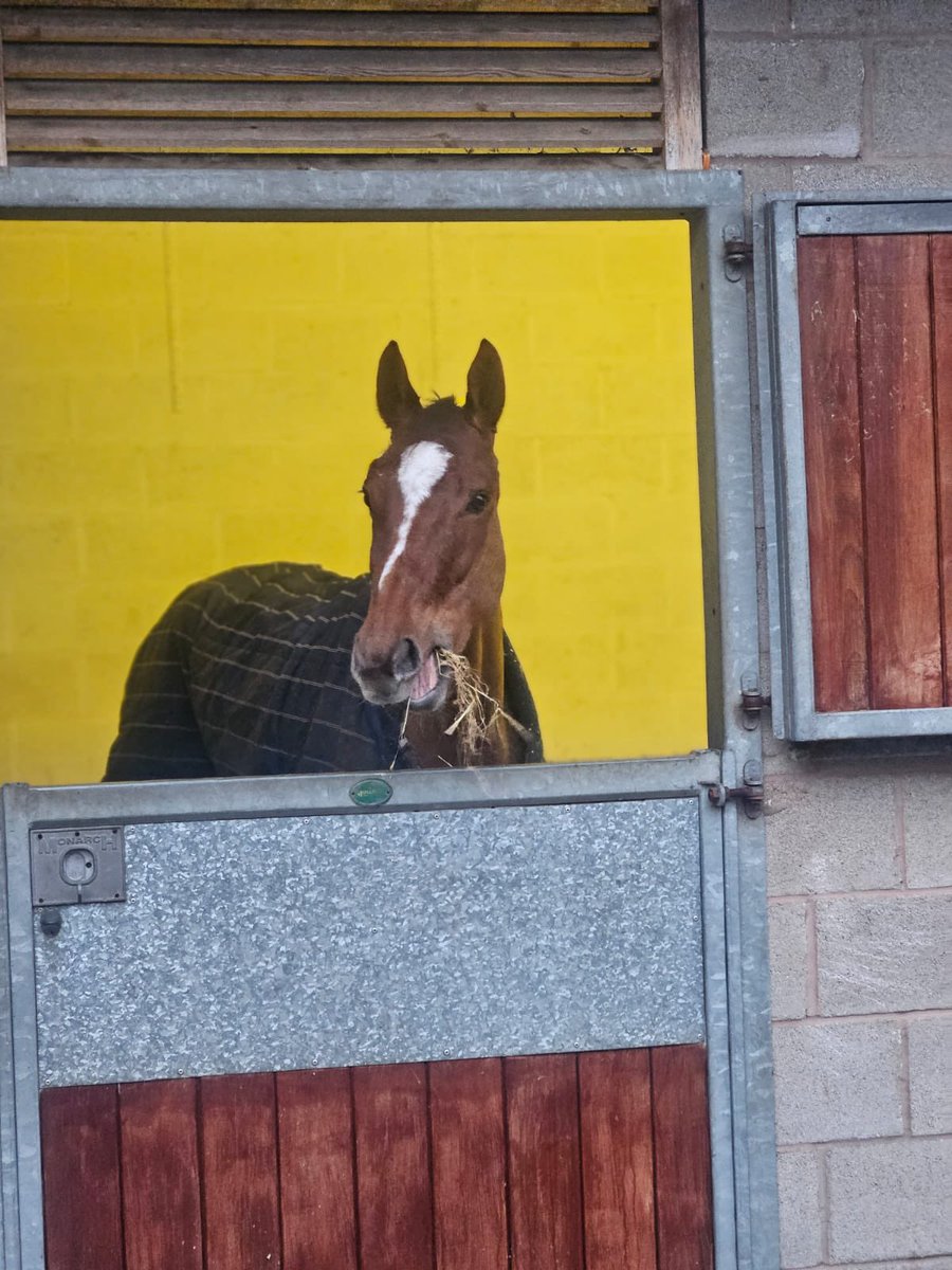 Lions Mouth Racing Club tweet media