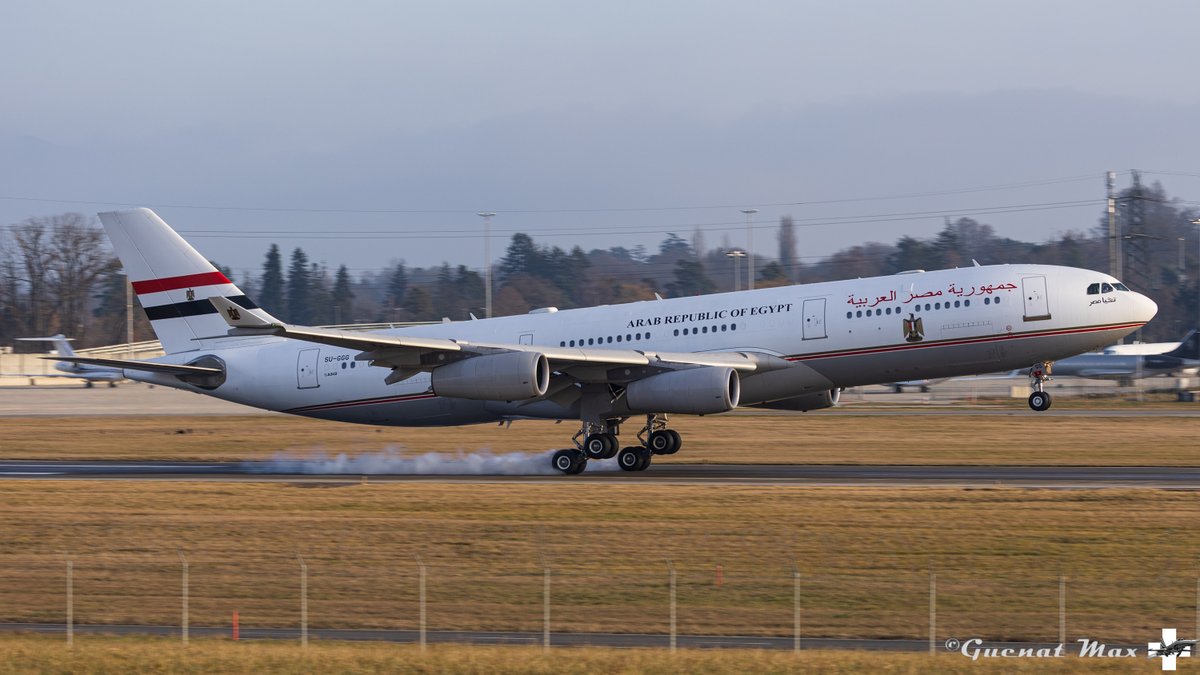 Guenat64's tweet photo. SU-GGG, Airbus 340-212, Gouvernement Egyptien https://t.co/1YXwHcl6uX