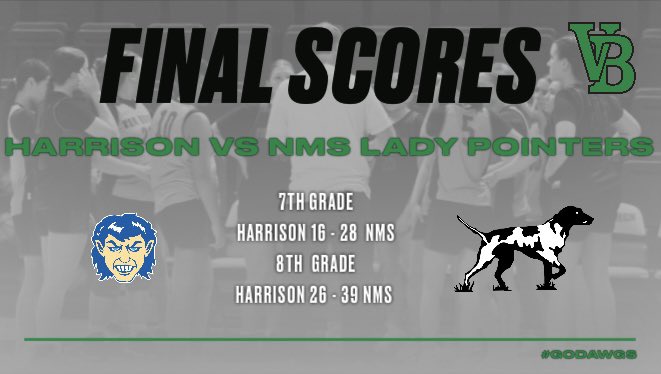 NMSLadyPointerHoops tweet media