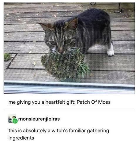 WholesomeMeme's tweet photo. https://t.co/QDTeKBUwQ5