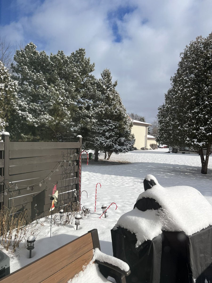 Julie Detjen tweet media