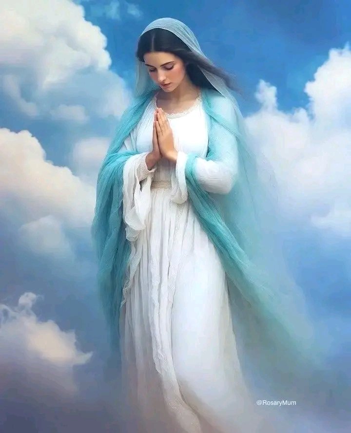 Catholic Podcasts tweet media