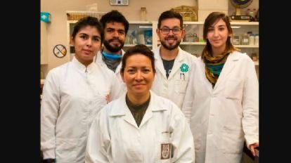 LaikCumhuriyett's tweet photo. SON DAKİKA: Meksikalı bilim insanı HPV'yi 💯 oranında ortadan kaldırdı.

Meksikalı araştırmacı Eva Ramón Gallegos, Latin Amerika bilimini dünya tıp tartışmalarının merkezine yerleştiren bir dönüm noktasına ulaştı: Kontrollü klinik çalışmalarda İnsan Papilloma Virüsü'nü (HPV) tamamen ortadan kaldırmayı başardı.

Ulusal Biyolojik Bilimler Okulu'ndan (ENCB) bilim adamı Eva Ramón Gallegos ve Ulusal Politeknik Enstitüsü'nden (IPN) çalışma ekibi, Meksika'da 29 kadının rahim ağzına odaklanan İnsan Papilloma Virüsünün (HPV) yüzde 100'ünün ortadan kaldırıldığını doğruladı. Meksikalı kadınlarda ikinci ölüm nedeni olan bu neoplazmayı önlemek için etkili bir yöntem olabilecek invazif olmayan bir teknik olan fotodinamik tedavi ile tedavi edildi.

Fotodinamik tedavinin melanom, meme kanseri ve servisal okuterin gibi farklı neoplazmalarda etkisini yirmi yılı aşkın bir süredir inceleyen araştırmacı, klinik fazda Oaxaca ve Veracruz'dan 420 hastanın bu tedavi ile tedavi edildiğini, ayrıca Mexico City'den HPV ile enfekte olan 29 hastanın servikste premalign lezyonlar gösterdiğini veya her iki durumu da olduğunu belirtti. Tedavinin iki farklı tedavi uygulama şeması altında iki aşamada yürütüldüğünü söyledi.

Kaynak: https://t.co/MlI1zG0IYE