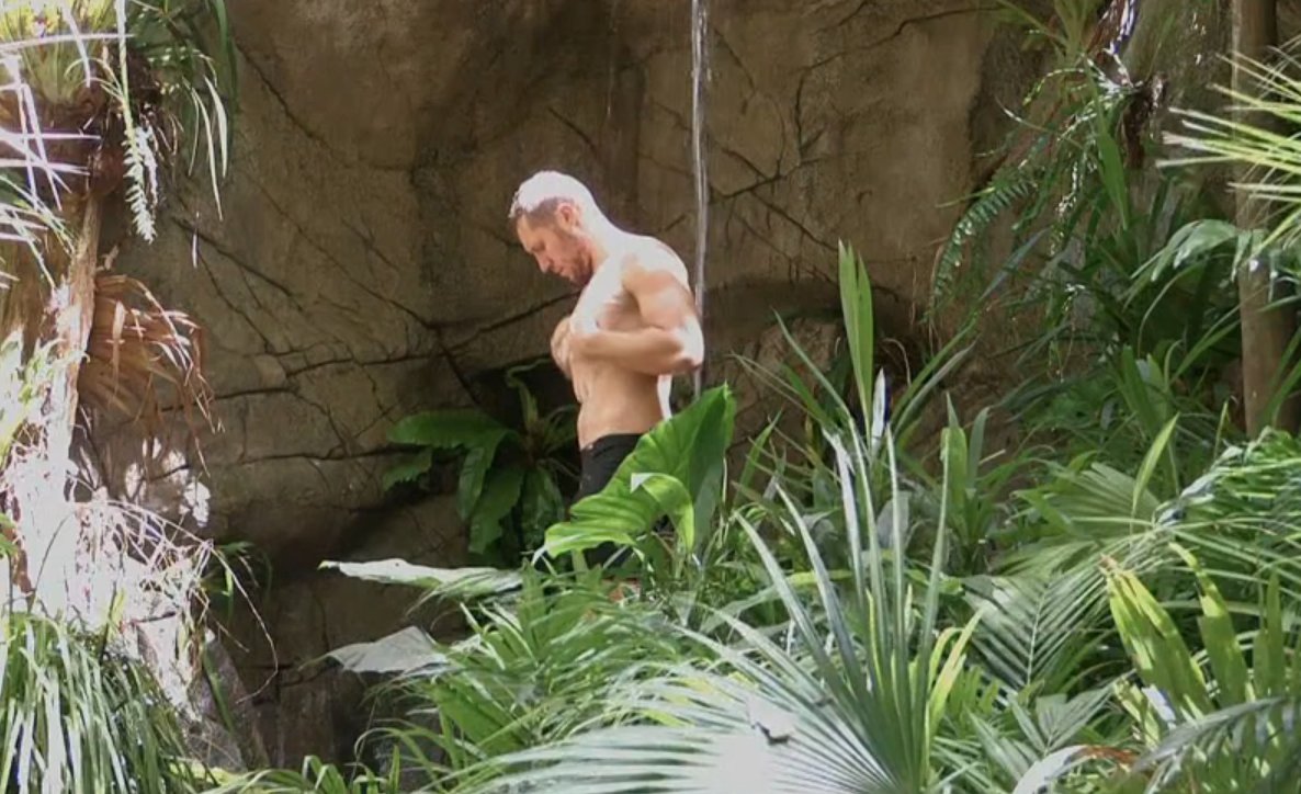 Btte sehr, für euch Mäuse hier 😂😂#dschungelcamp #ibes #ibes2026 #ibes26