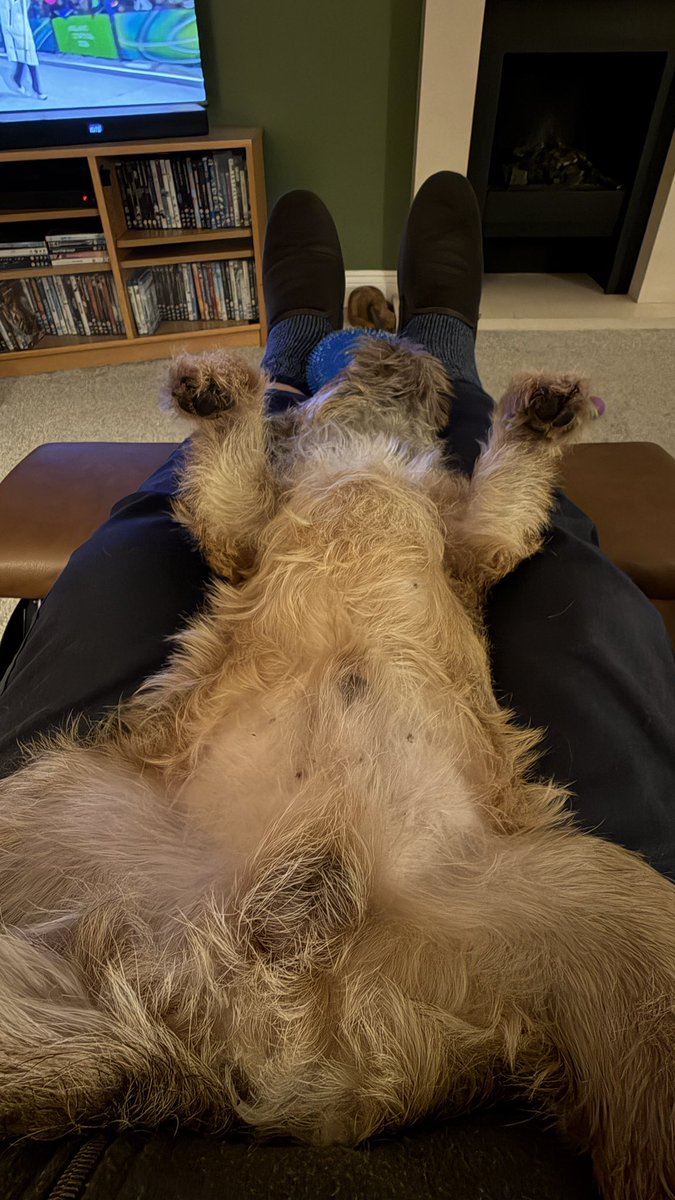 BillyTheBorder tweet picture
