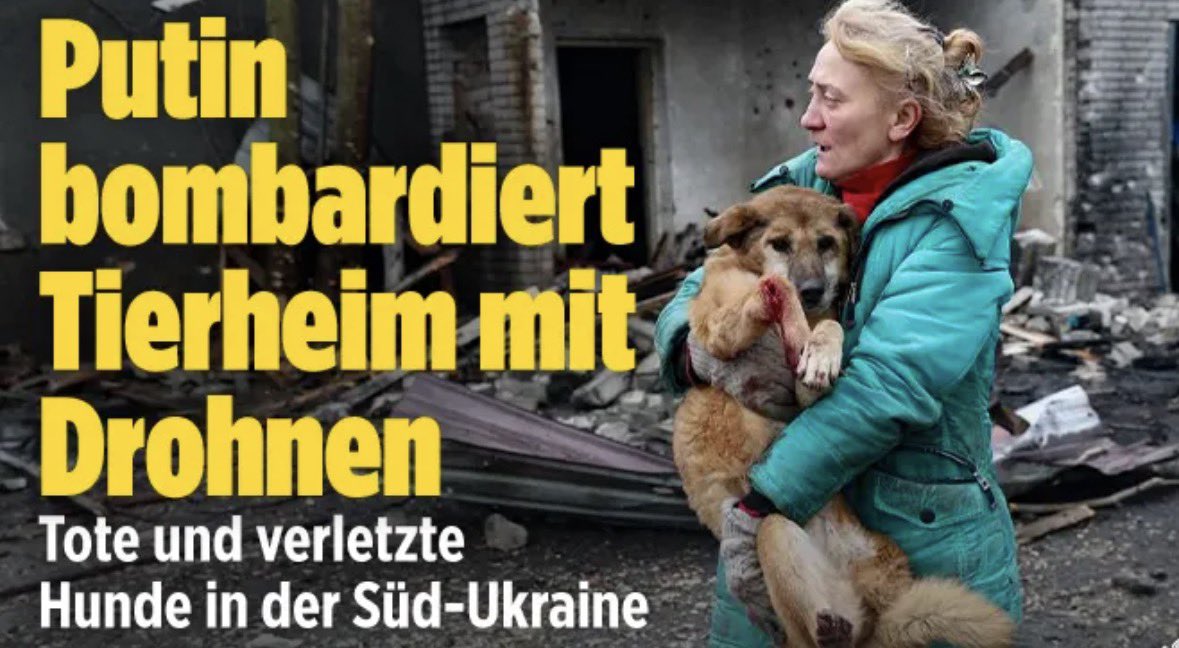 Schreckliches Hundemassaker in der südukrainischen Großstadt Saporischschja (700.000 Einw). Dort griff die russische Armee am Freitag ein Tierheim an, in dem zu dem Zeitpunkt 20 Hunde untergebracht waren. Mit brutalen Folgen für die betroffenen Vierbeiner.

➡️„Leider sind 13