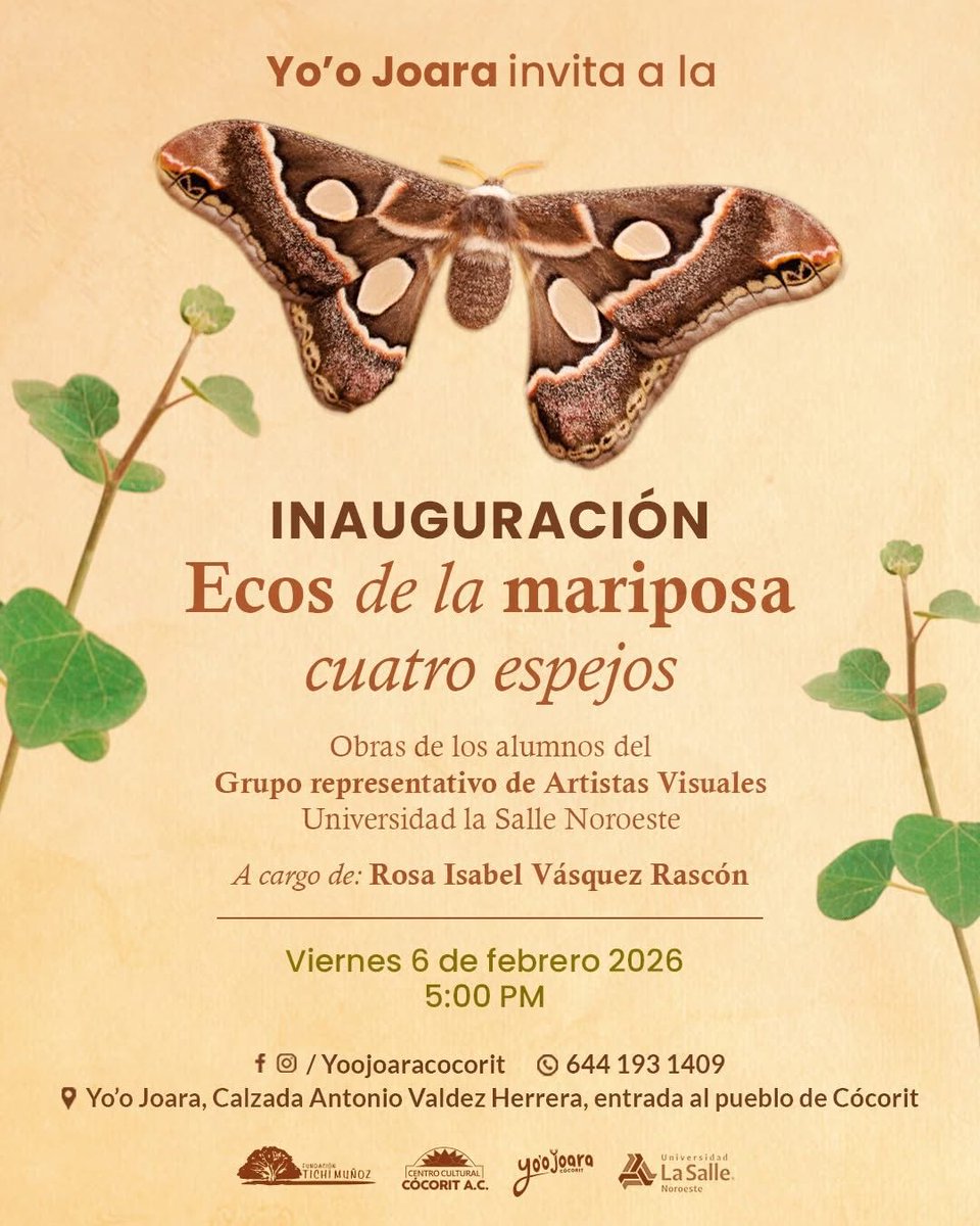 Tenemos una cita hoy en Yo ´o Joara 
#Exposción #MariposaCuatroEspejos
#Cultura #Arte #Cócorit 
#UlsaNoroeste