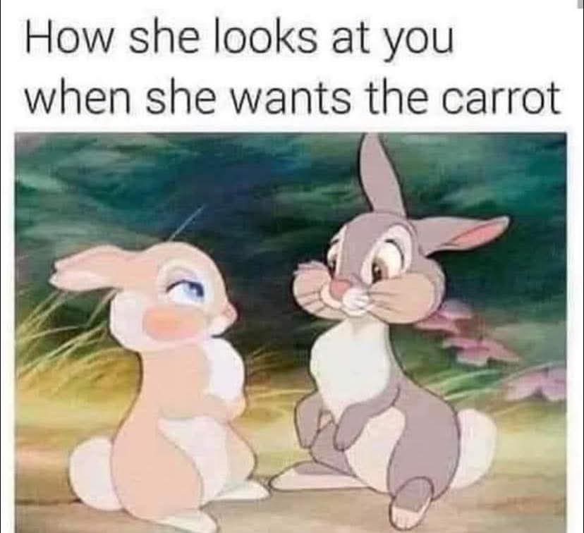 MarieJuana6985's tweet photo. Accurate 😏 https://t.co/F60S3LWPsw