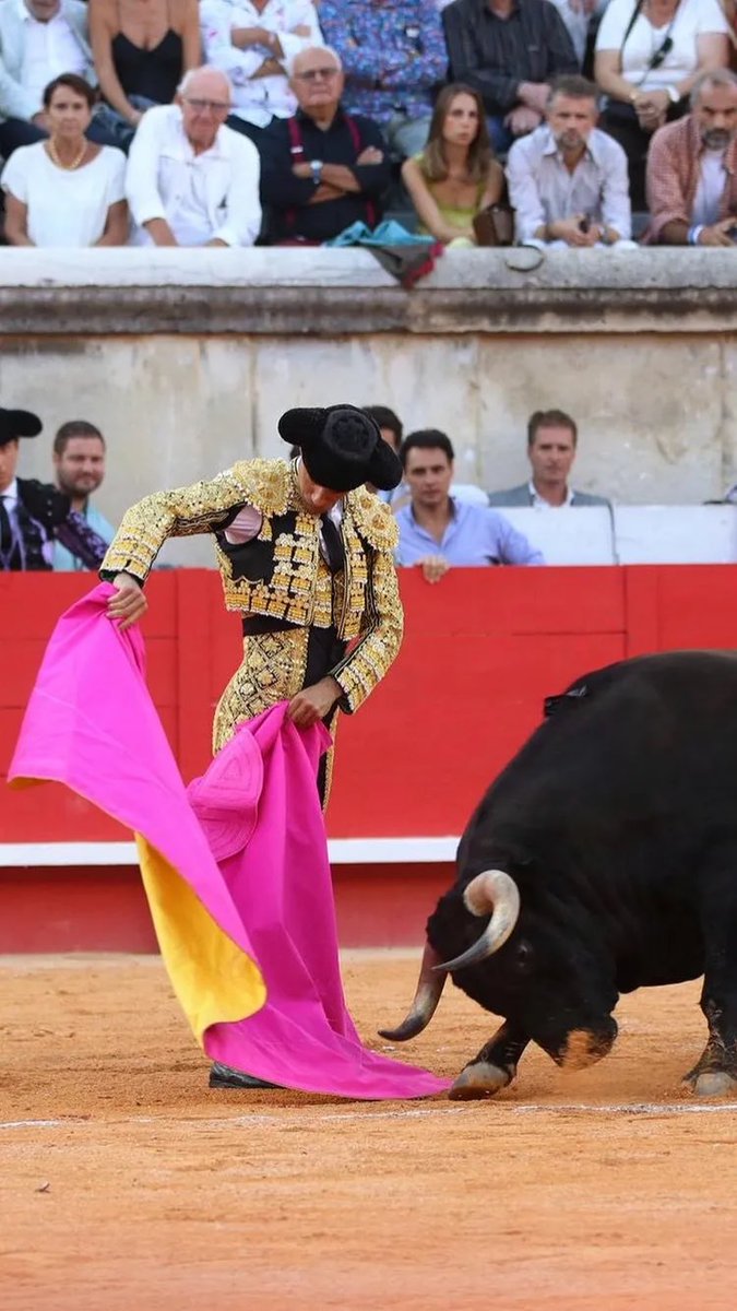 Dentro y fuera del ruedo.