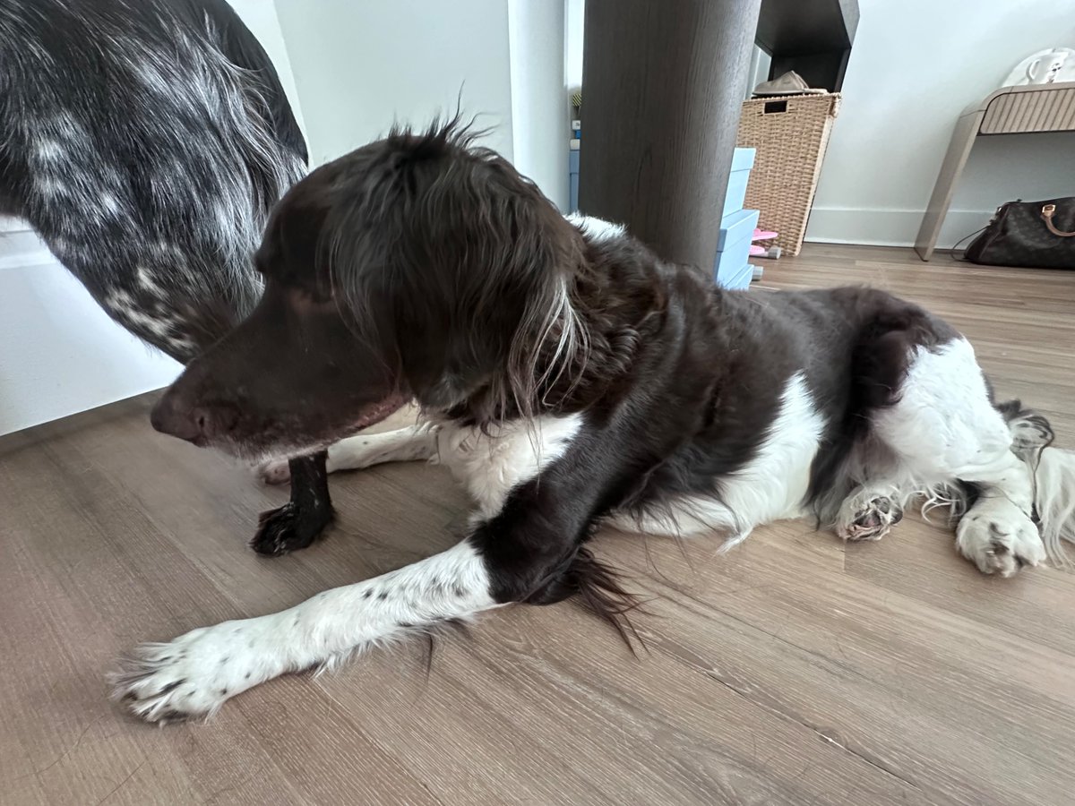 average movie day at home for me