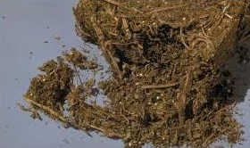 Uncle Cyrus tweet media