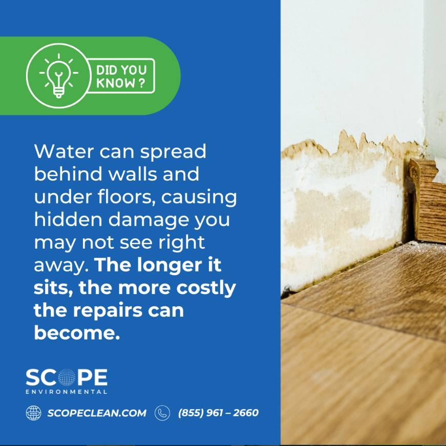 clean_scope's tweet photo. Water doesn’t stay where you see it. Hidden moisture can mean bigger damage and higher repair bills — call Scope before it gets worse.

☎️: (855) 961 – 2660

#WaterDamage #RestorationExperts #ScopeEnvironmental #HomeSafety #FloodDamage #EmergencyResponse https://t.co/vcyN1QZHUQ