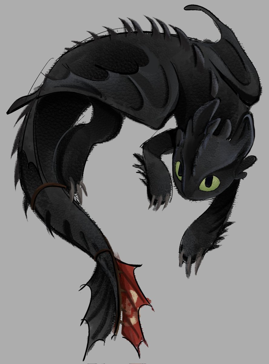 tirkftirkf_55's tweet image. #HTTYD