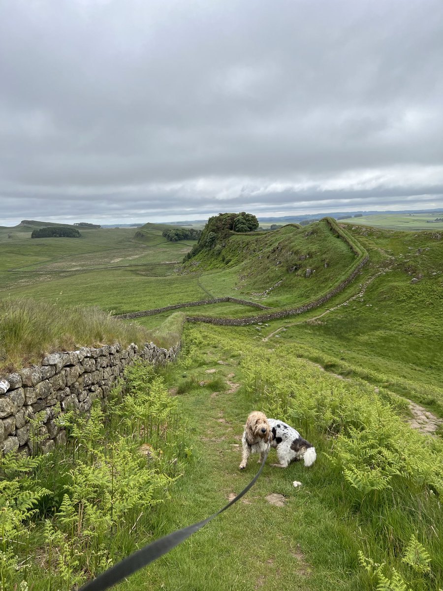 GTStamos's tweet image. #undulating Hadrian’s Wall