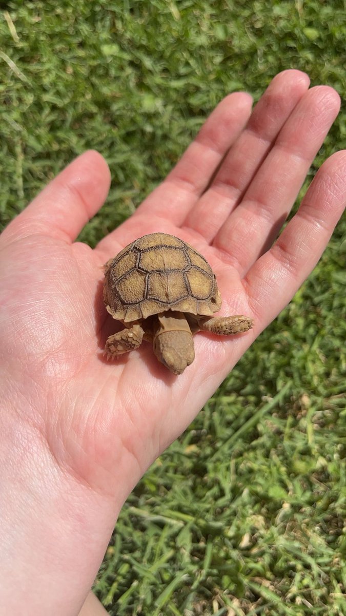 kitsplaycorner's tweet image. 🍎 user kitsplaycorner off twt !!!