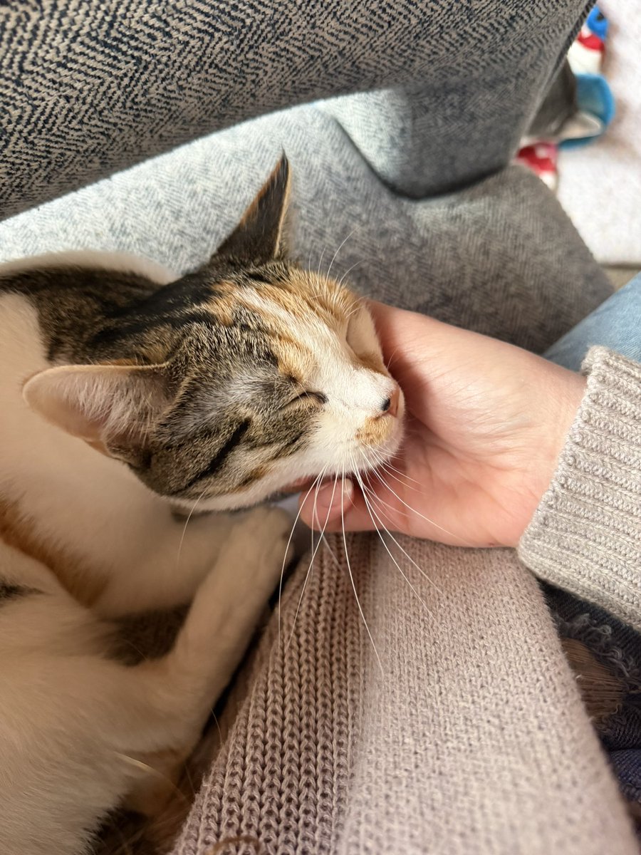 kitsplaycorner's tweet image. 🍎 user kitsplaycorner off twt !!!