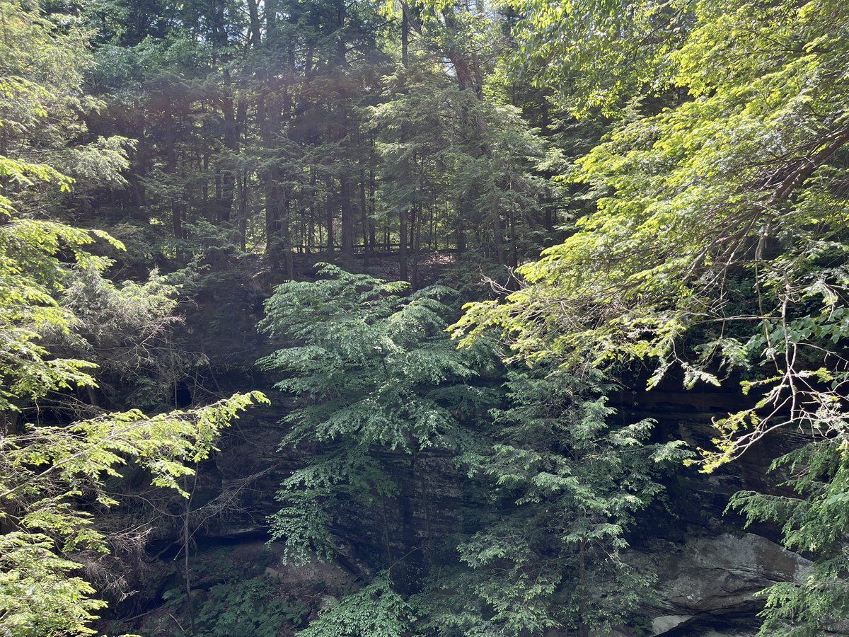 kitsplaycorner's tweet image. 🍎 user kitsplaycorner off twt !!!