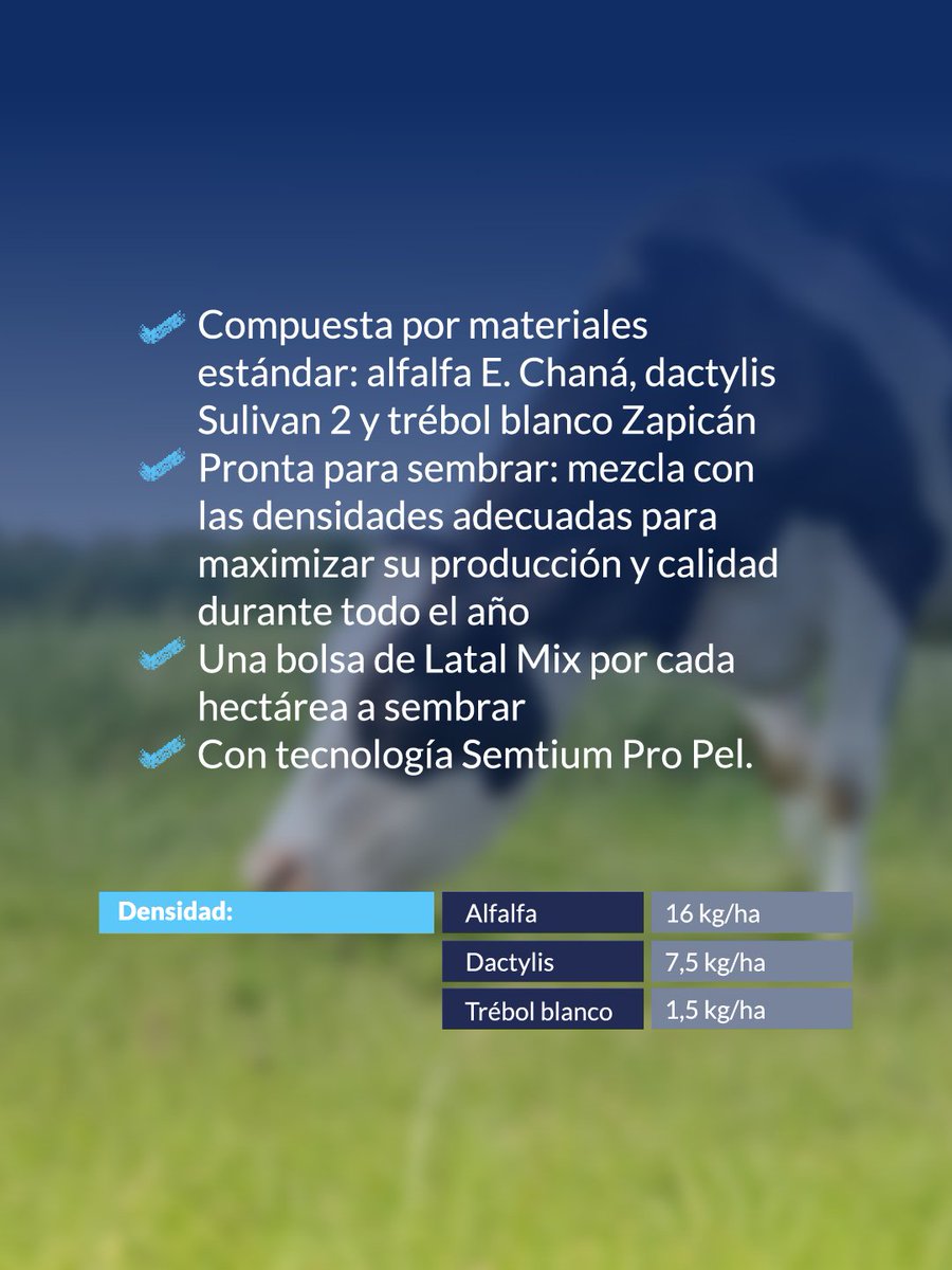 PGGWrightson_UY's tweet image. Una mezcla forrajera pronta para sembrar, pensada para sistemas que buscan equilibrio entre producción, calidad y estabilidad durante todo el año.

Formulada con materiales estándar del portfolio:
✔️ Alfalfa E. Chaná
✔️ Dactylis Sulivan 2
✔️ Trébol blanco Zapicán

📦 Una bolsa…