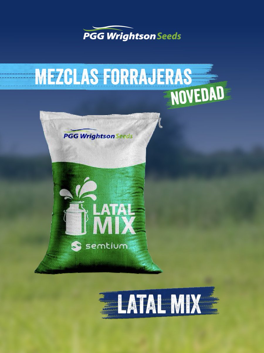 PGGWrightson_UY's tweet image. Una mezcla forrajera pronta para sembrar, pensada para sistemas que buscan equilibrio entre producción, calidad y estabilidad durante todo el año.

Formulada con materiales estándar del portfolio:
✔️ Alfalfa E. Chaná
✔️ Dactylis Sulivan 2
✔️ Trébol blanco Zapicán

📦 Una bolsa…