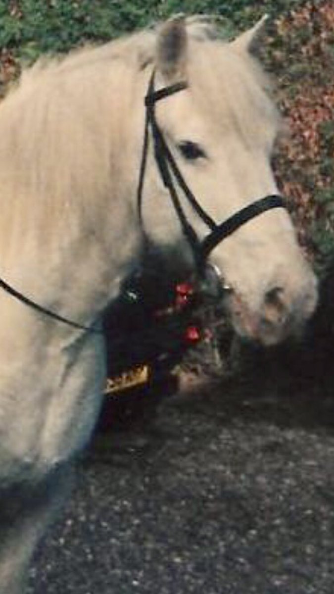 Craig Howell tweet media