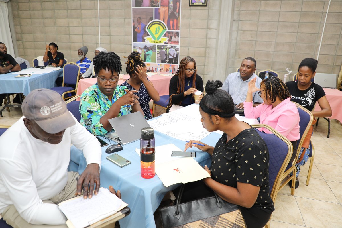 🇬🇩 🌱 La Commission de l’OECO et ses partenaires collaborent pour transformer l'industrie de la mousse de mer (Sea Moss) à la Grenade, grâce à des ateliers spécialisés de renforcement des capacités !

📈✨ L'honorable Lennox Andrews, ministre de l'Économie bleue et des Affaires