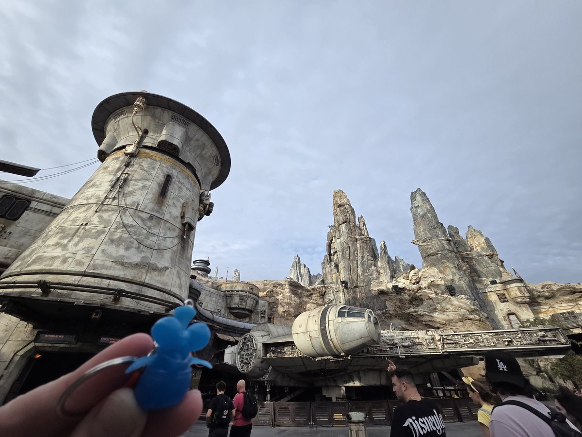 Some of the shenanigans Little Buddy got into~