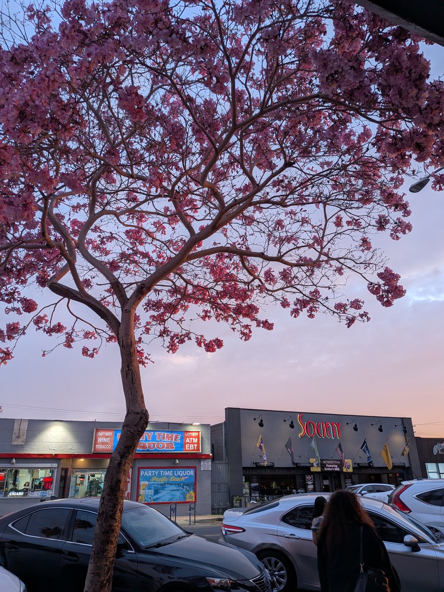 enscribe tweet media